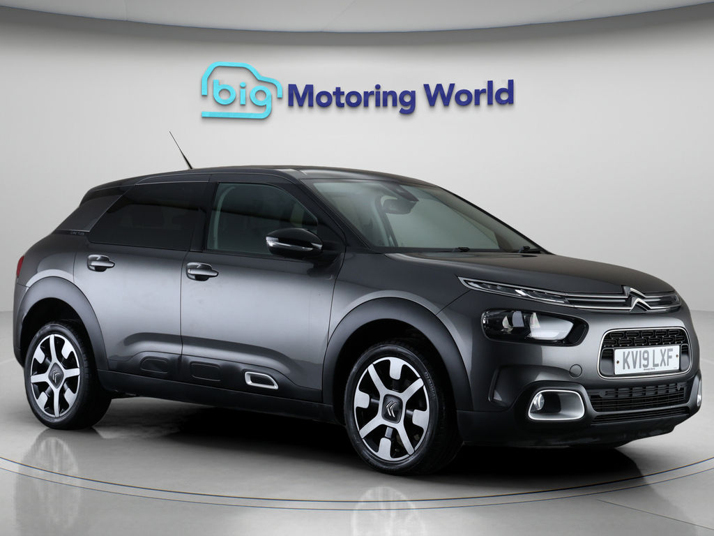 C4 Cactus