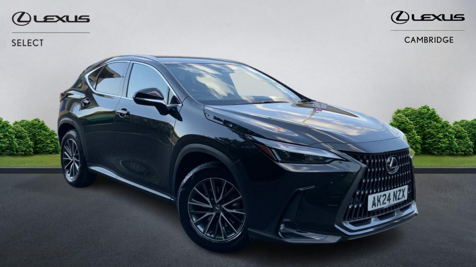 NX Hybrid