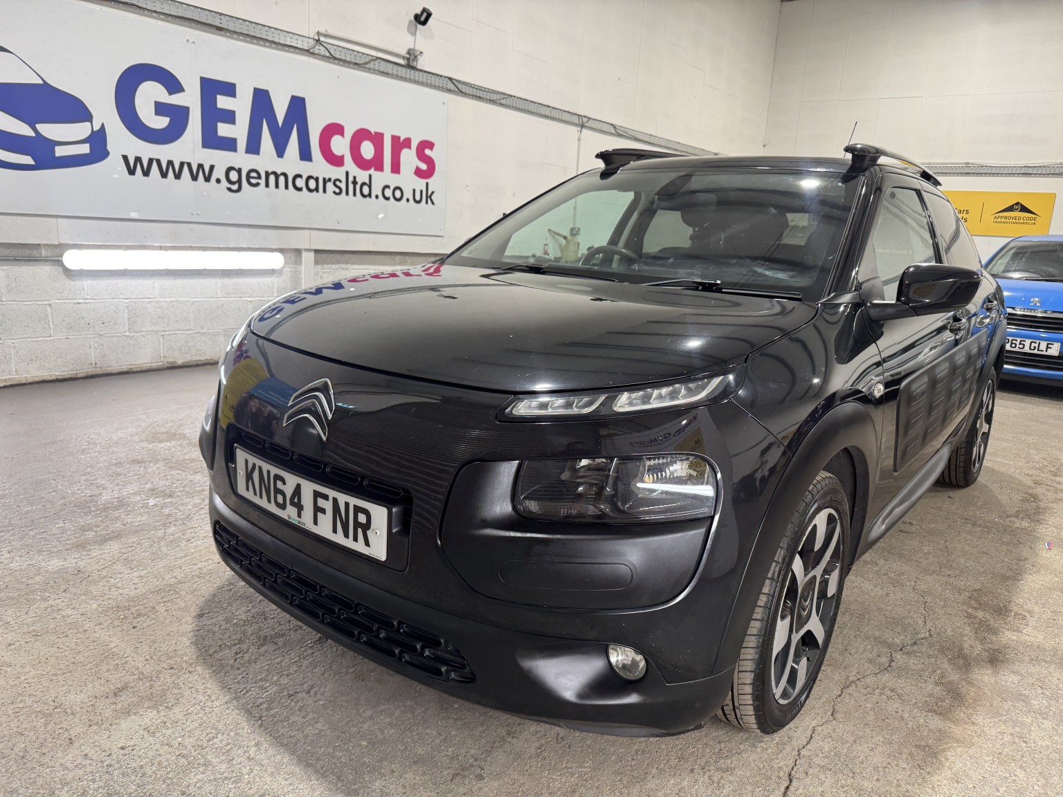 C4 Cactus