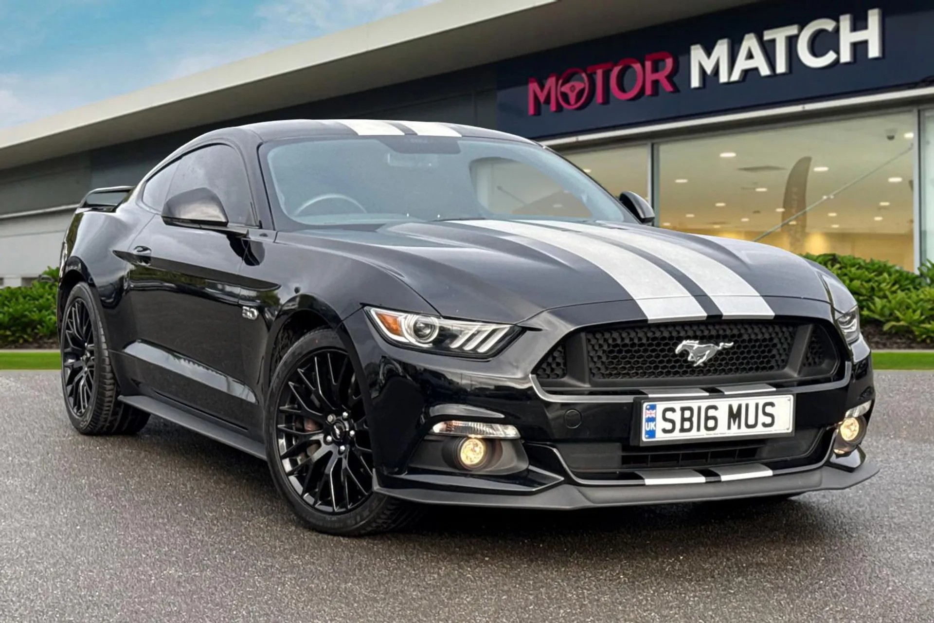 Mustang