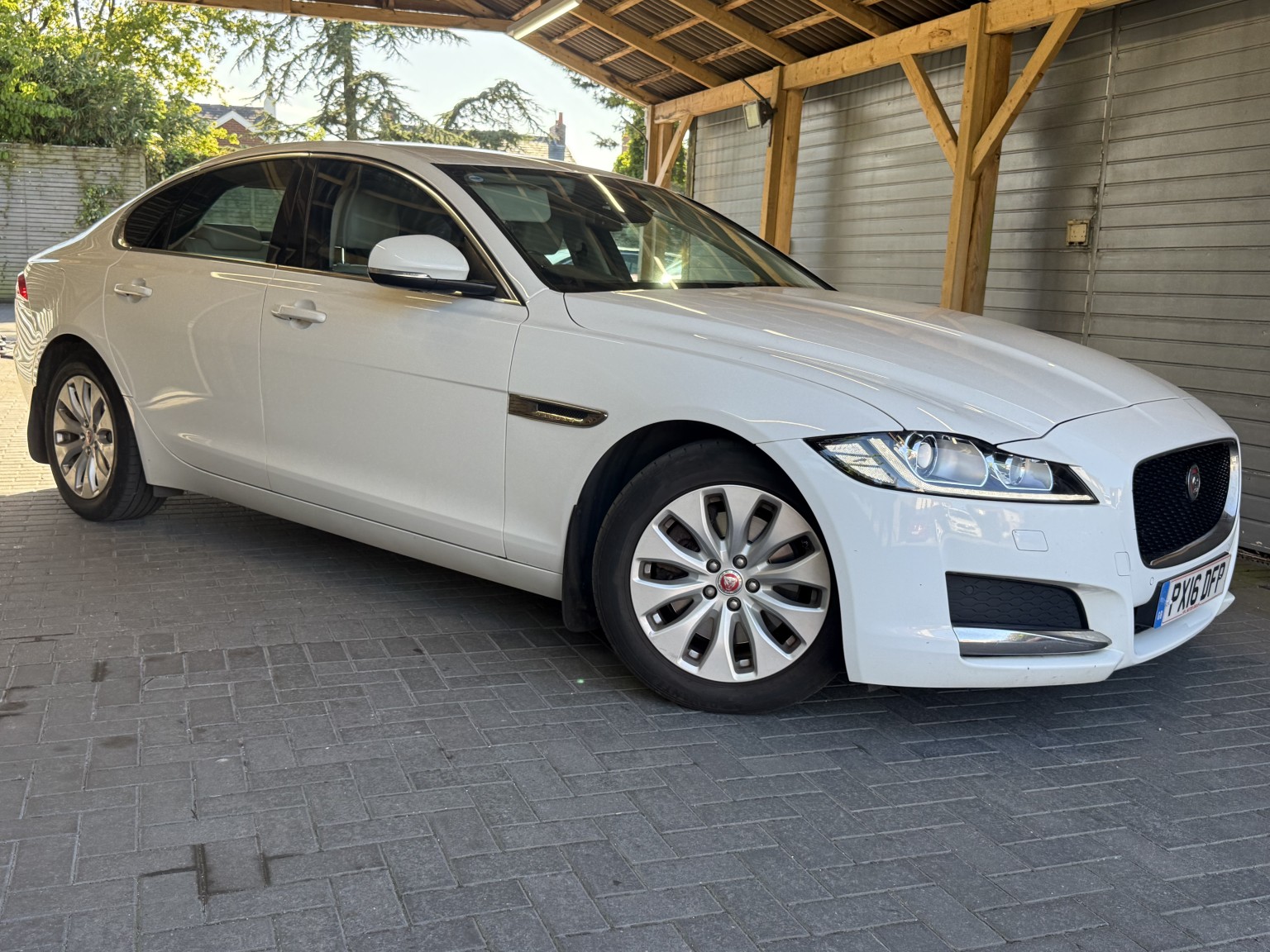 XF
