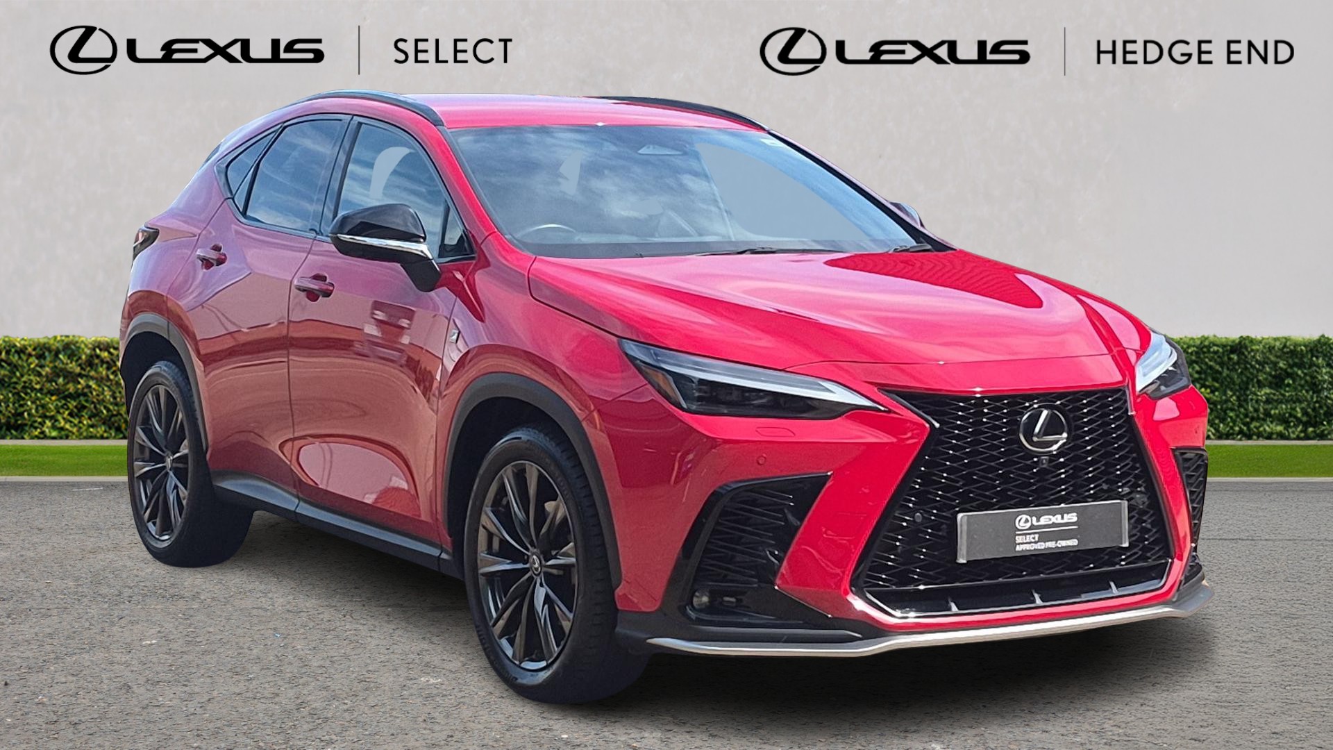 NX Hybrid
