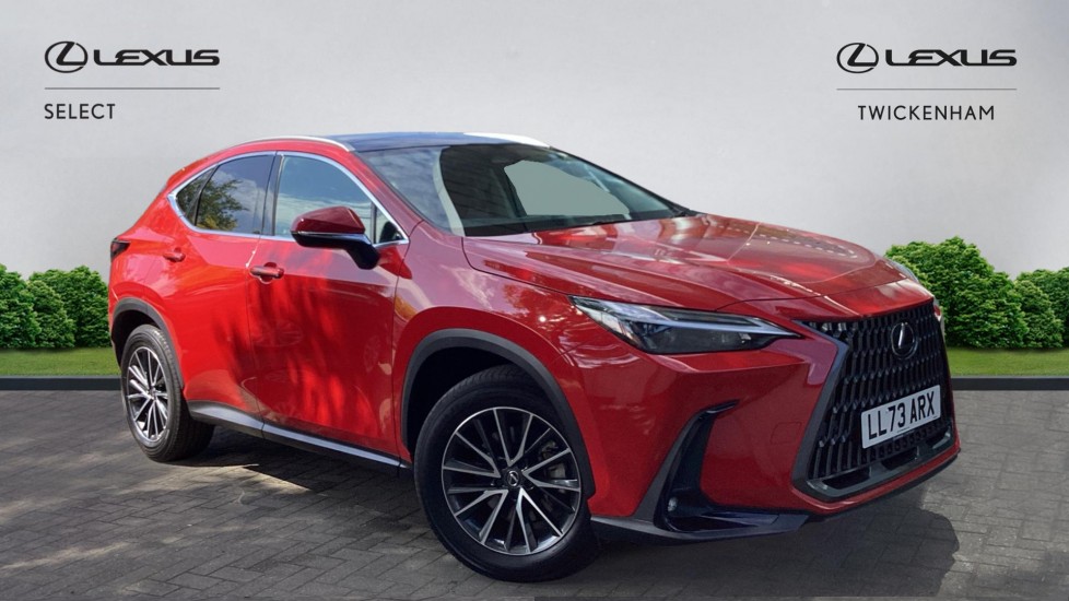 NX Hybrid