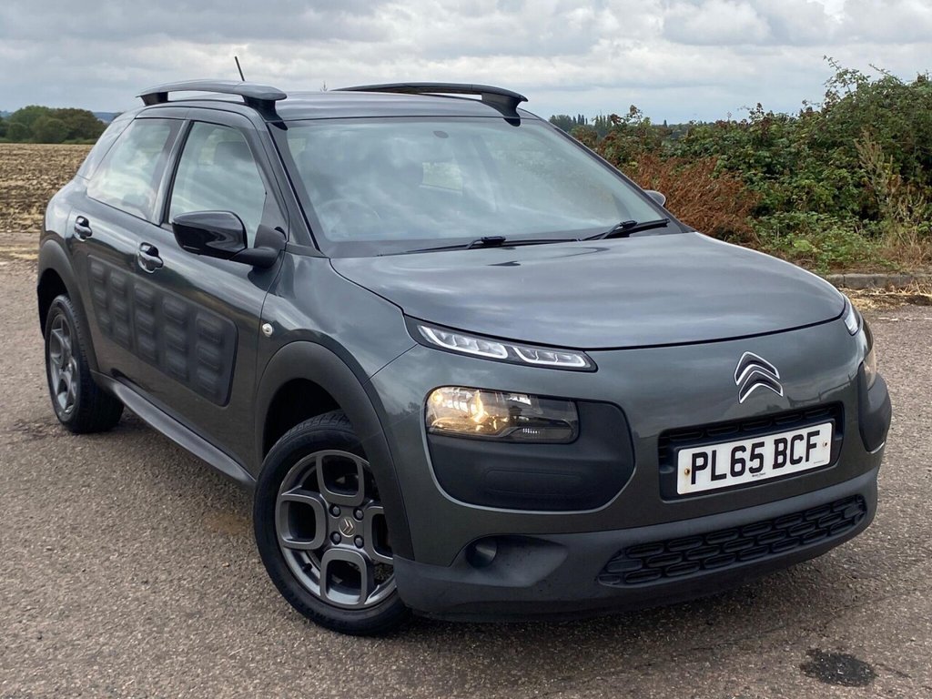 C4 Cactus
