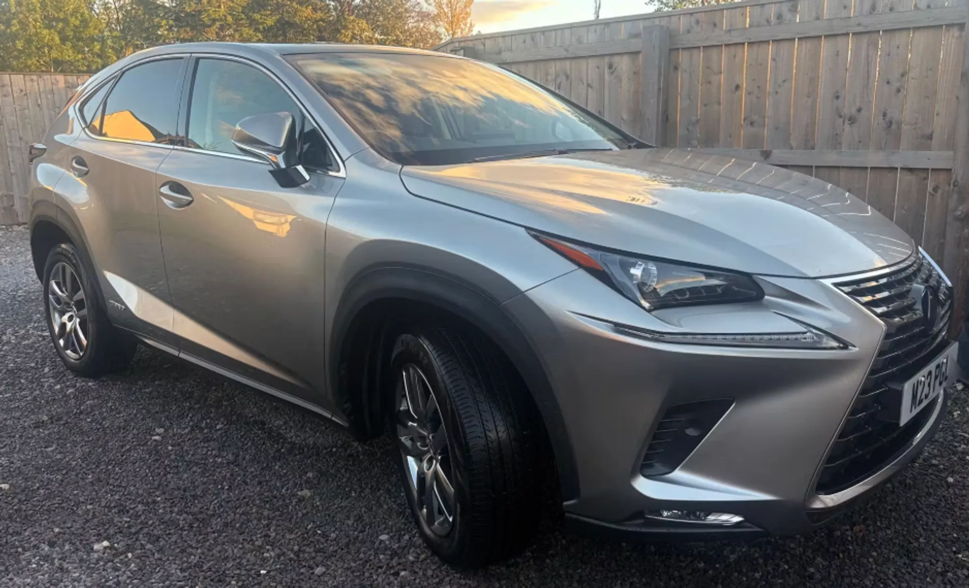 NX Hybrid