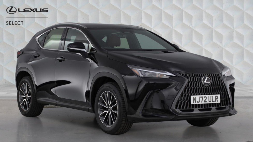 NX Hybrid