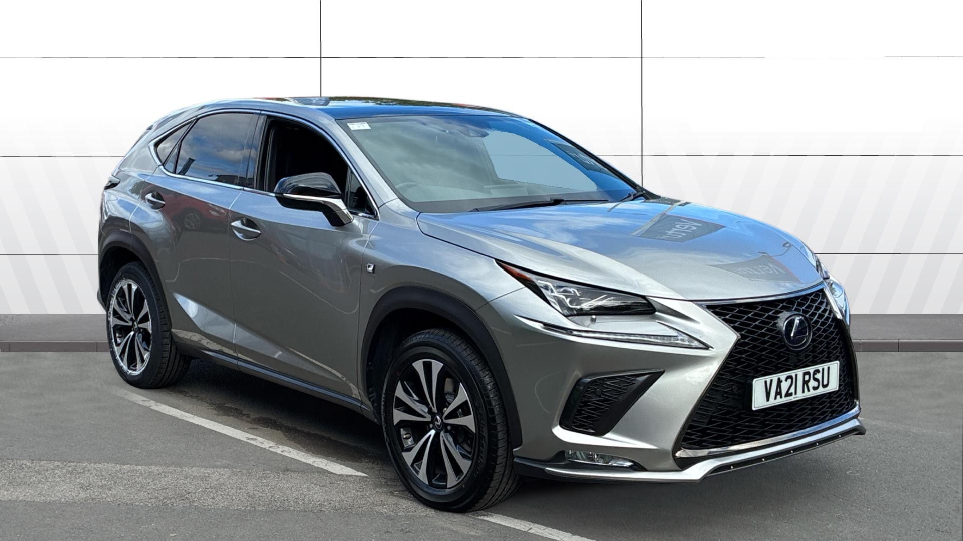 NX Hybrid