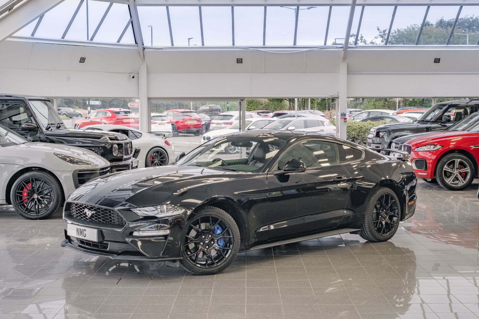 Mustang
