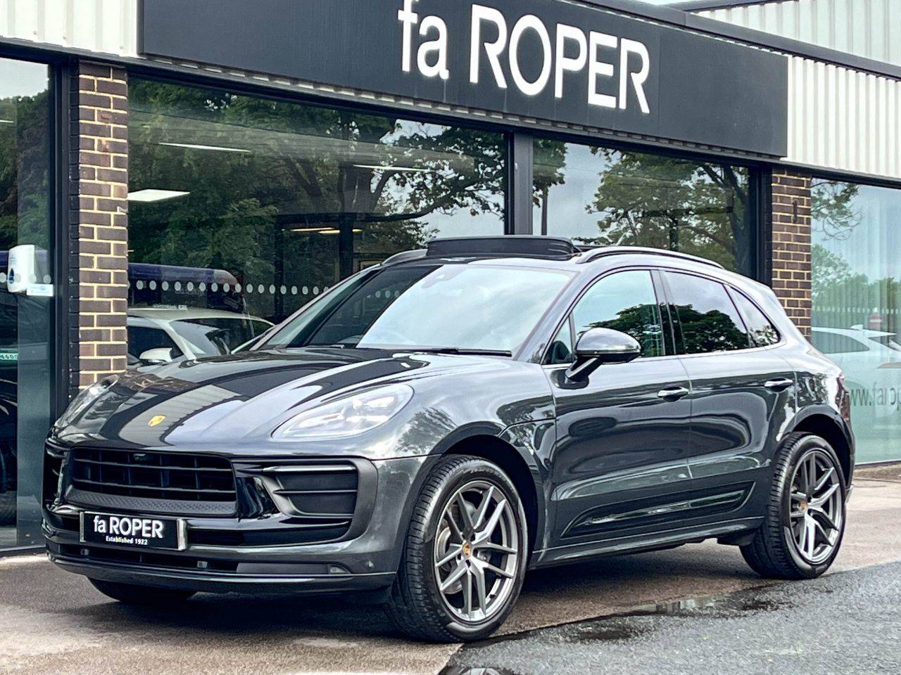Macan