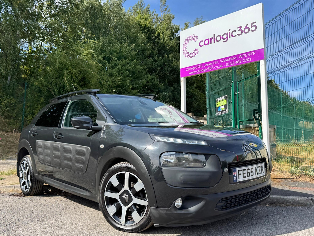 C4 Cactus