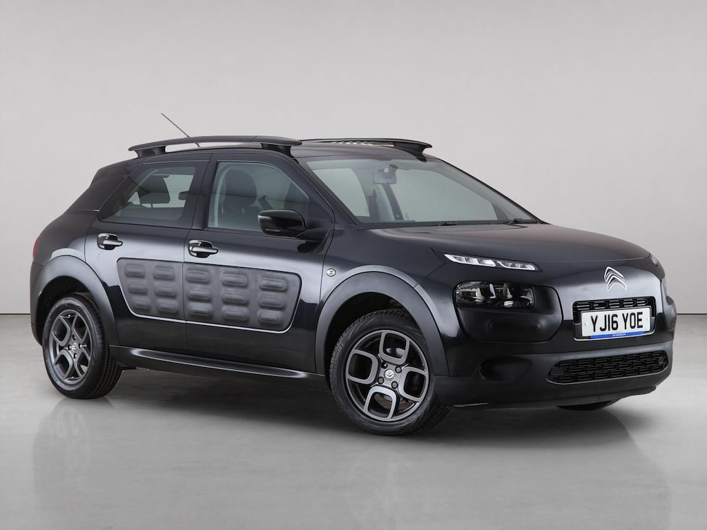 C4 Cactus