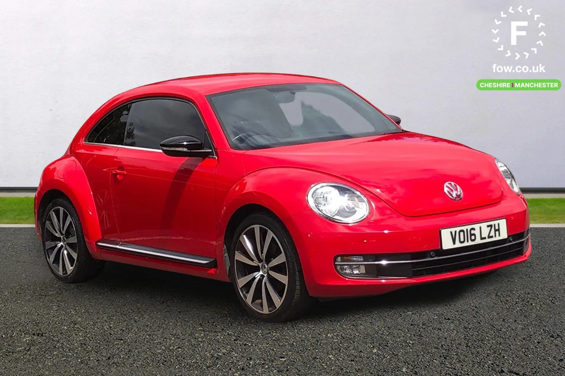 Beetle