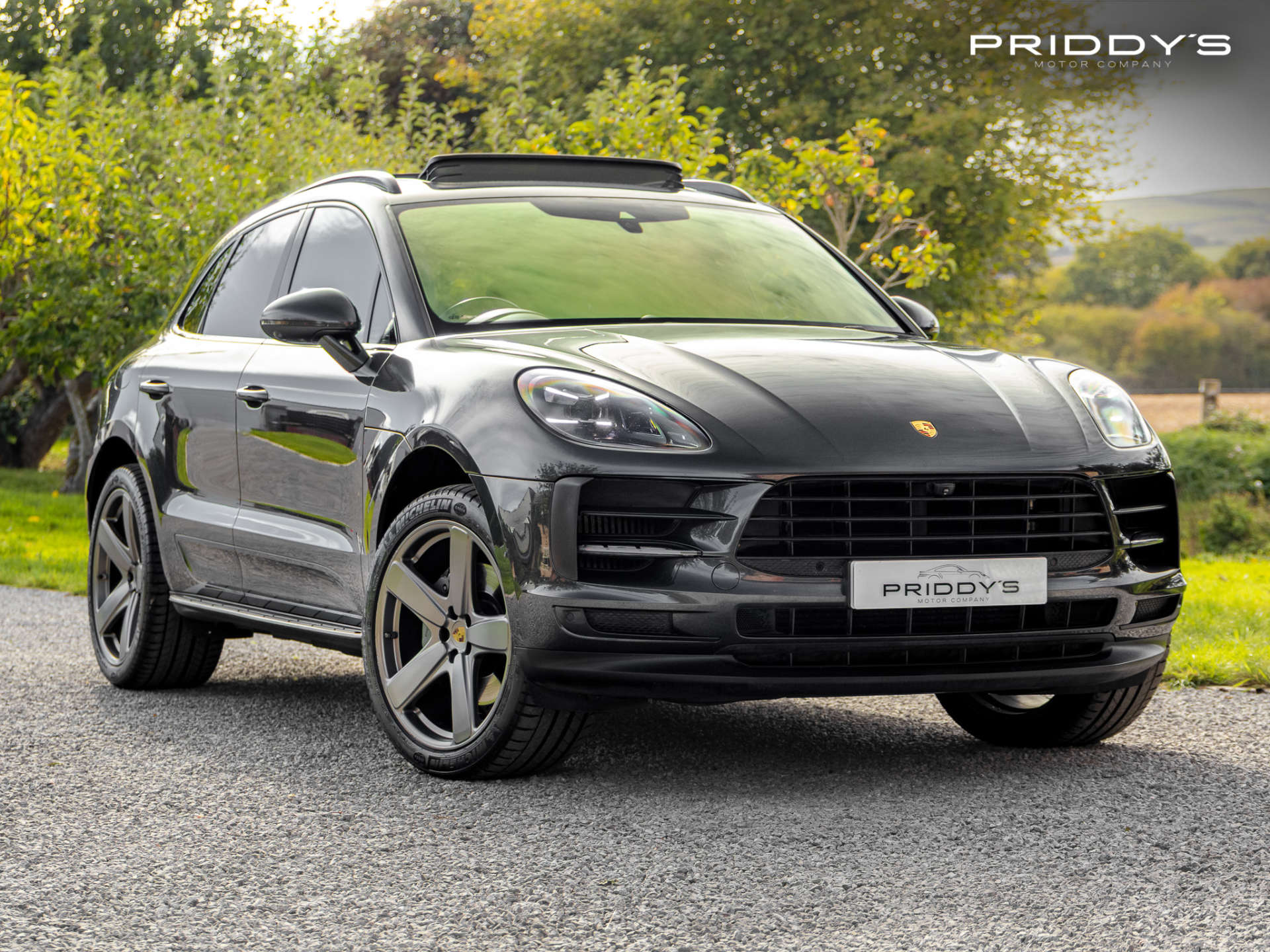 Macan