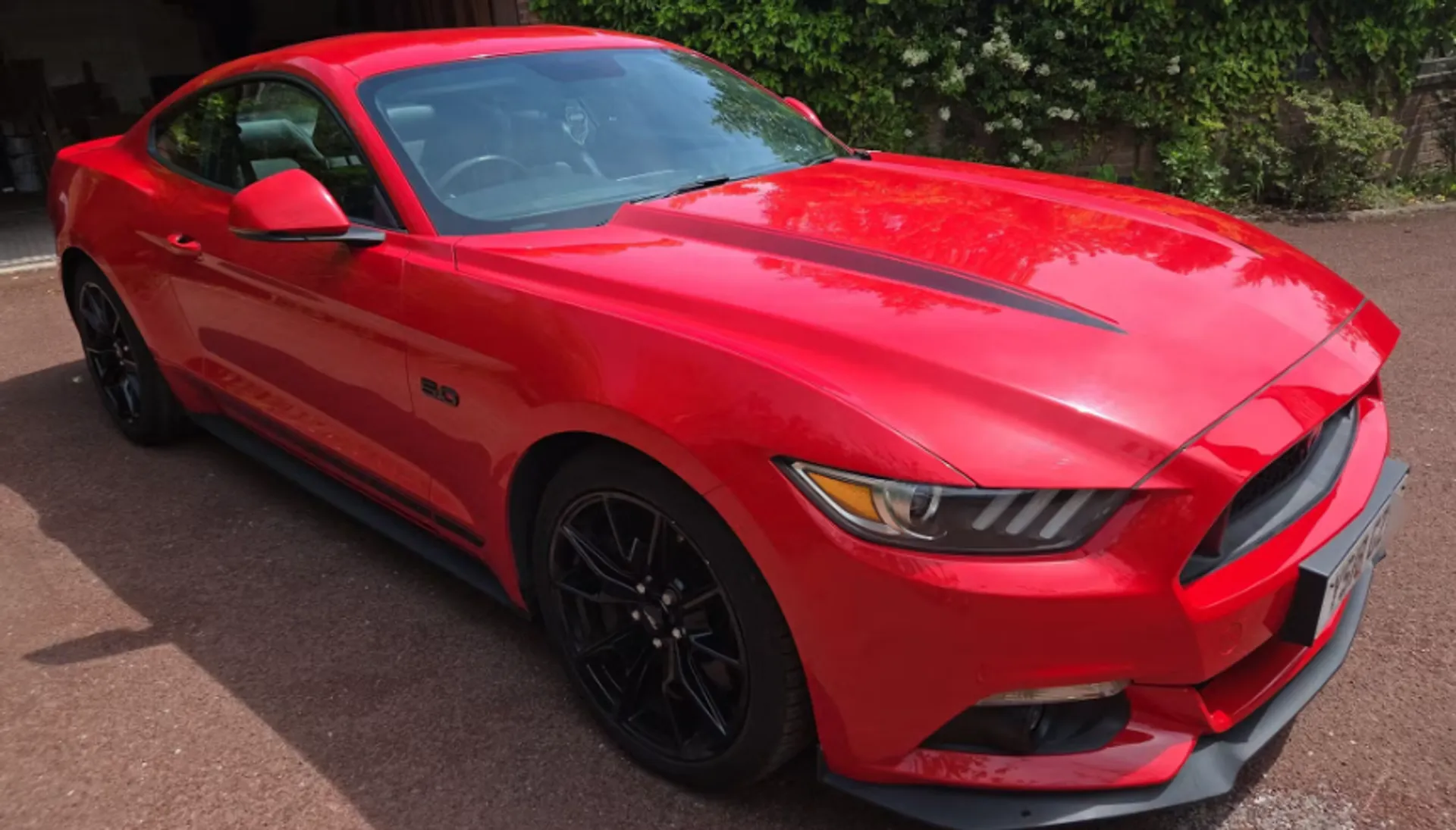 Mustang