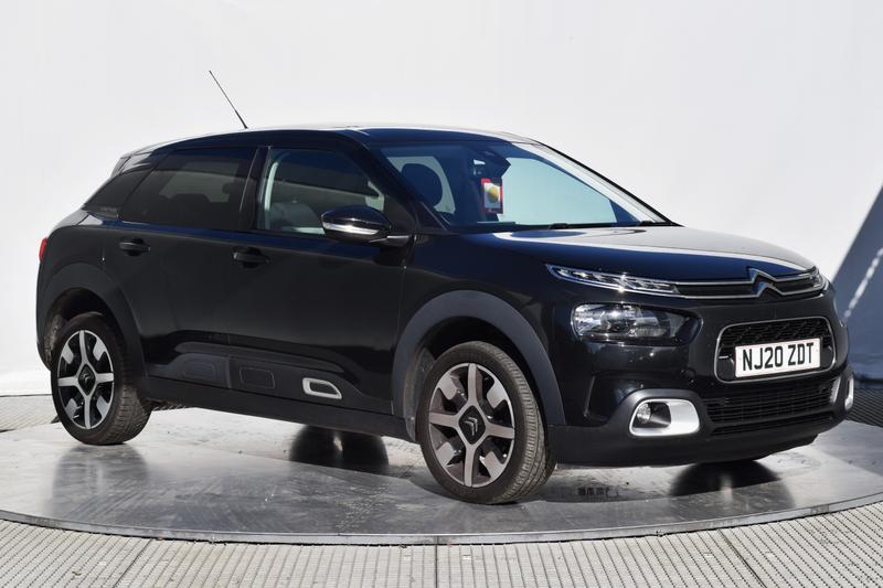 C4 Cactus