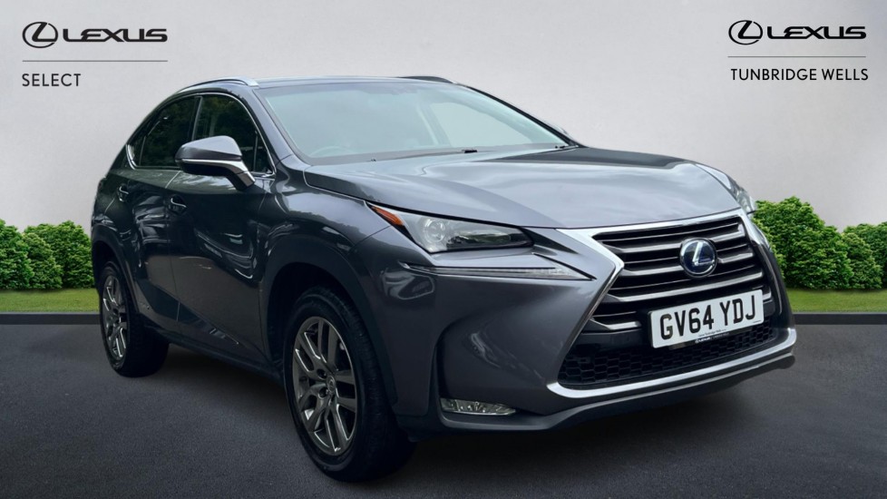 NX Hybrid