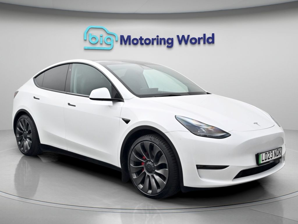 Model Y Performance