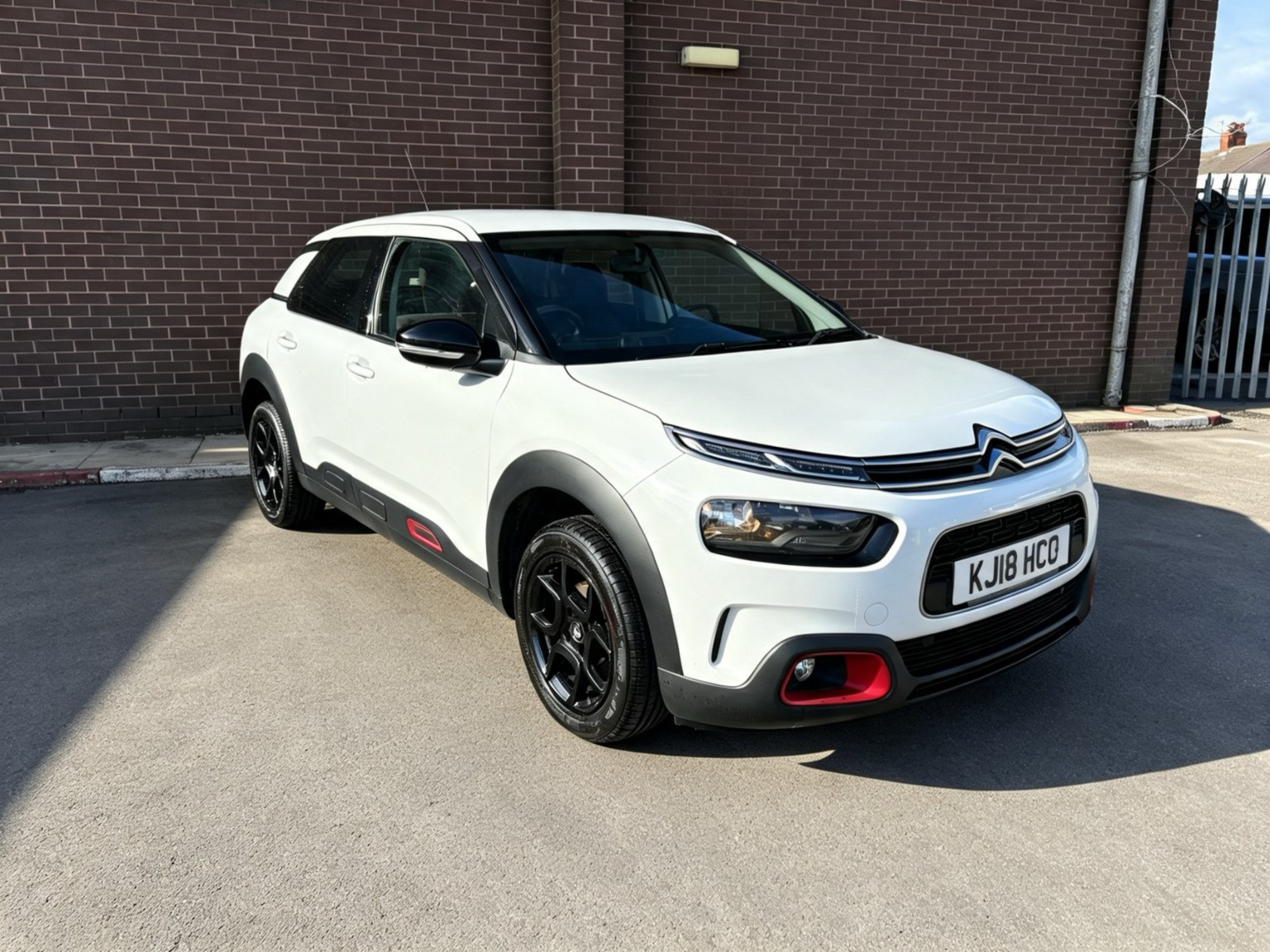 C4 Cactus