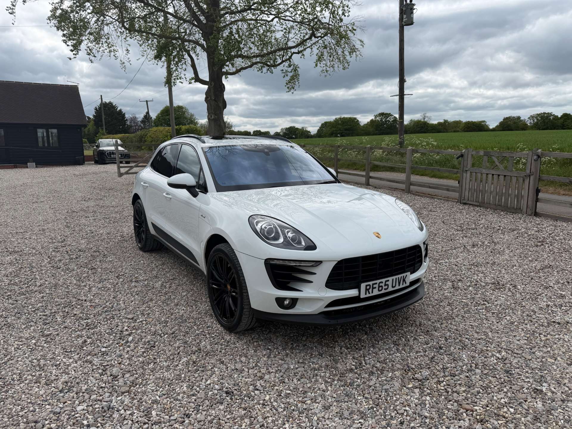 Macan