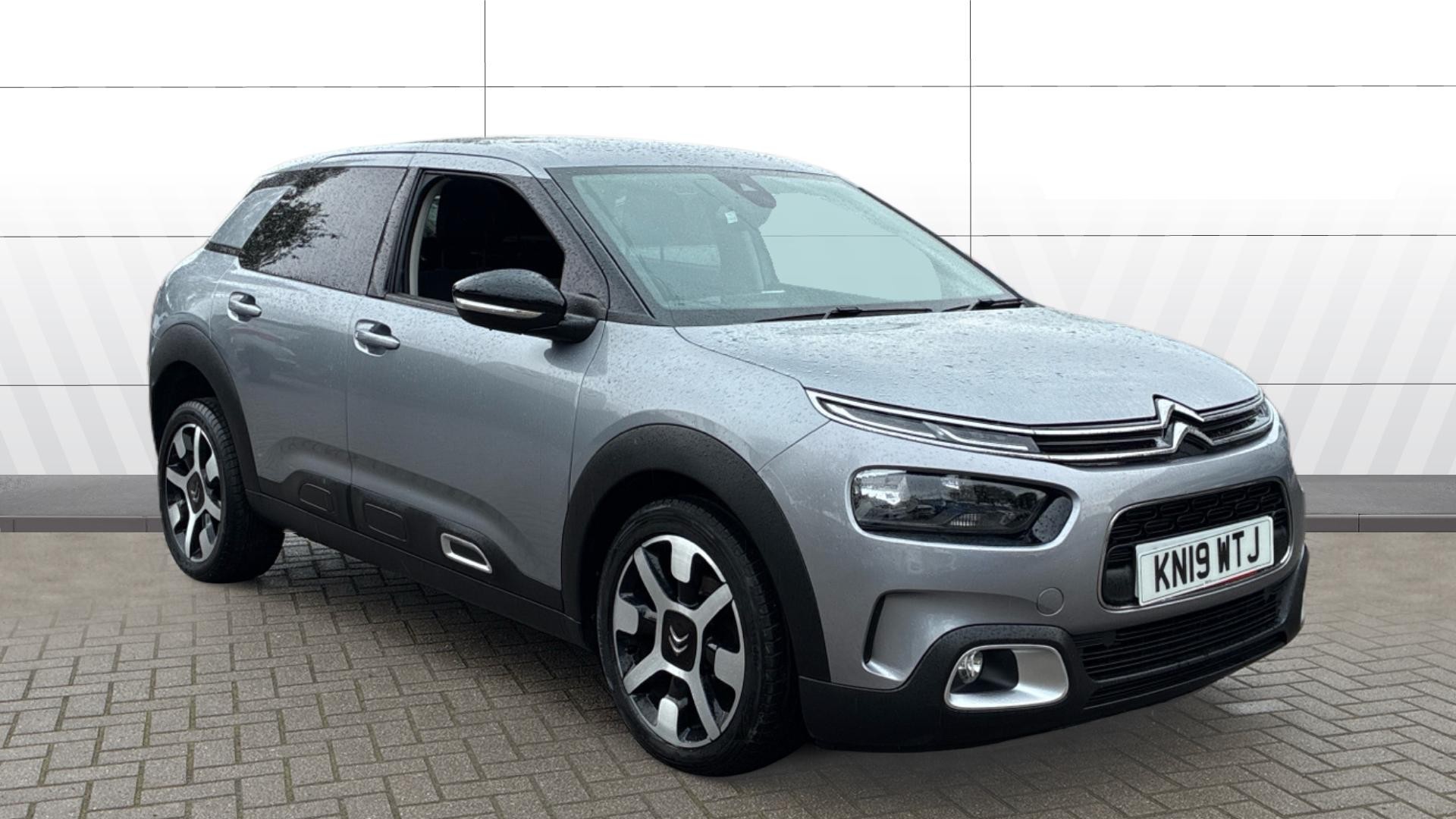 C4 Cactus