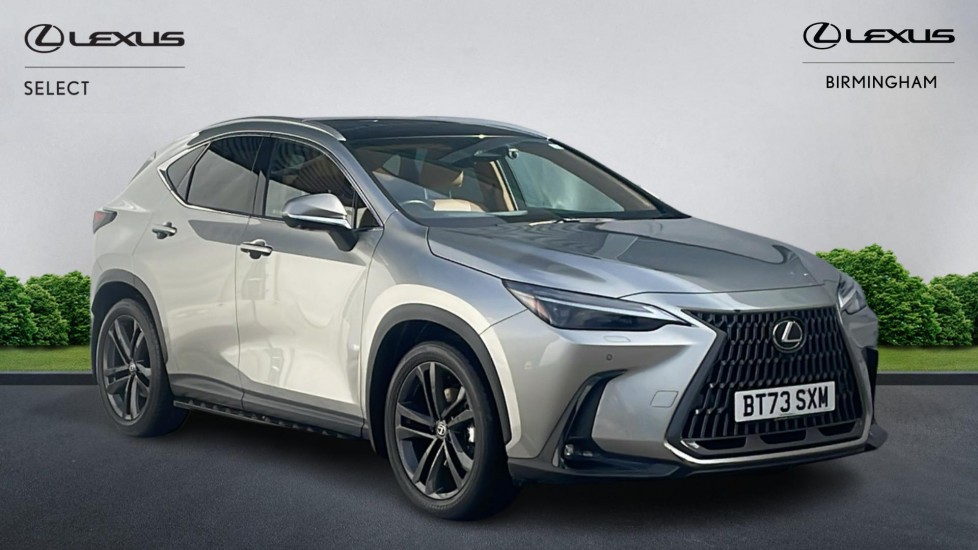 NX Hybrid