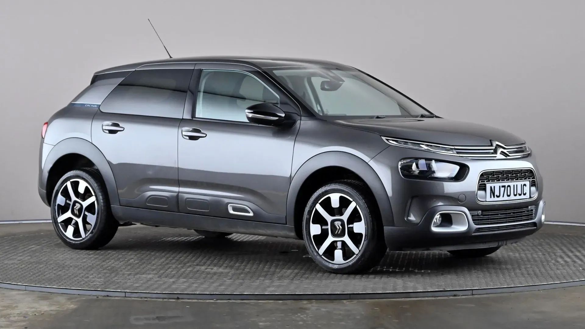 C4 Cactus
