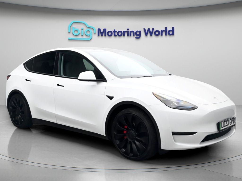 Model Y Performance