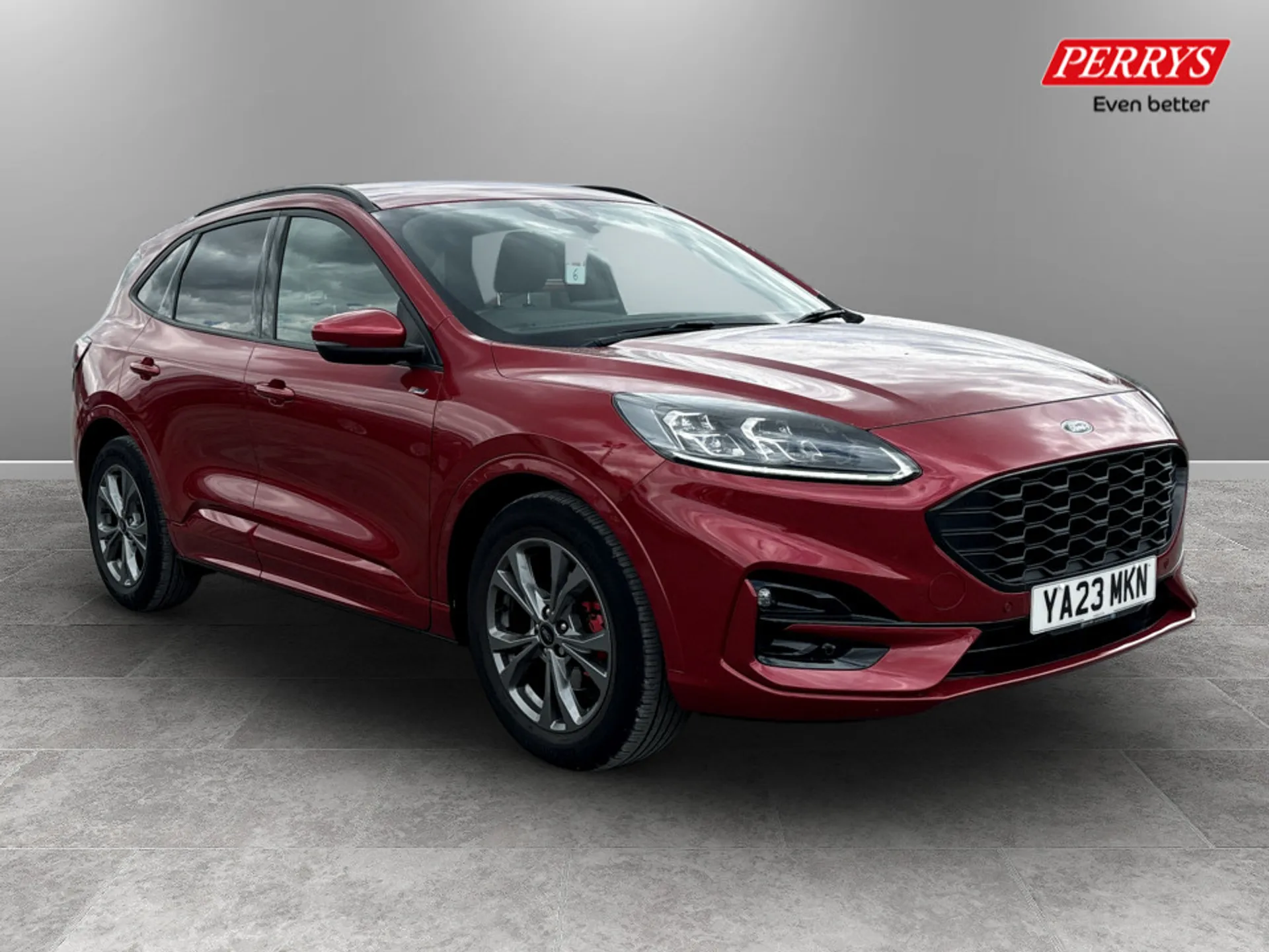 Kuga