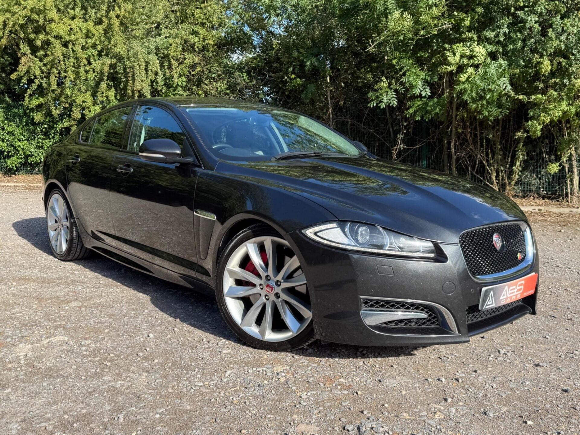 XF
