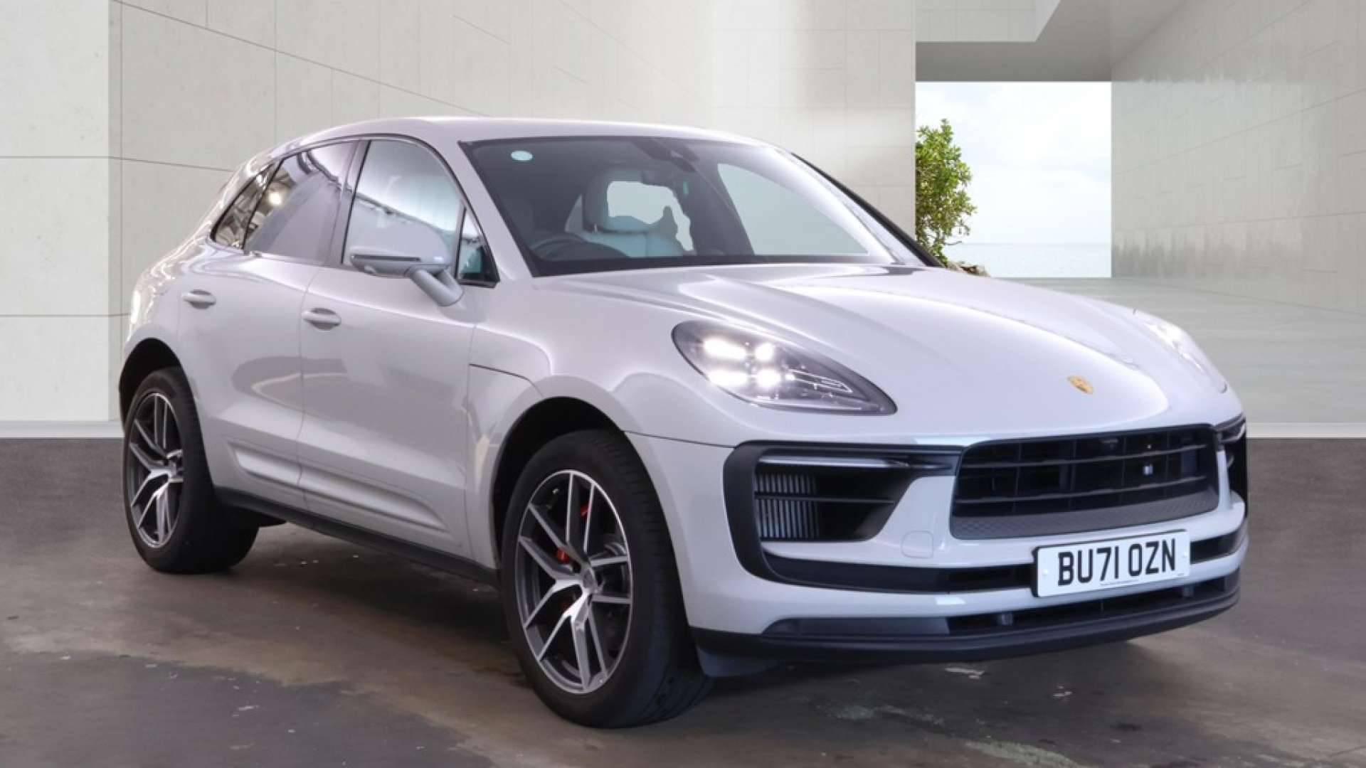 Macan