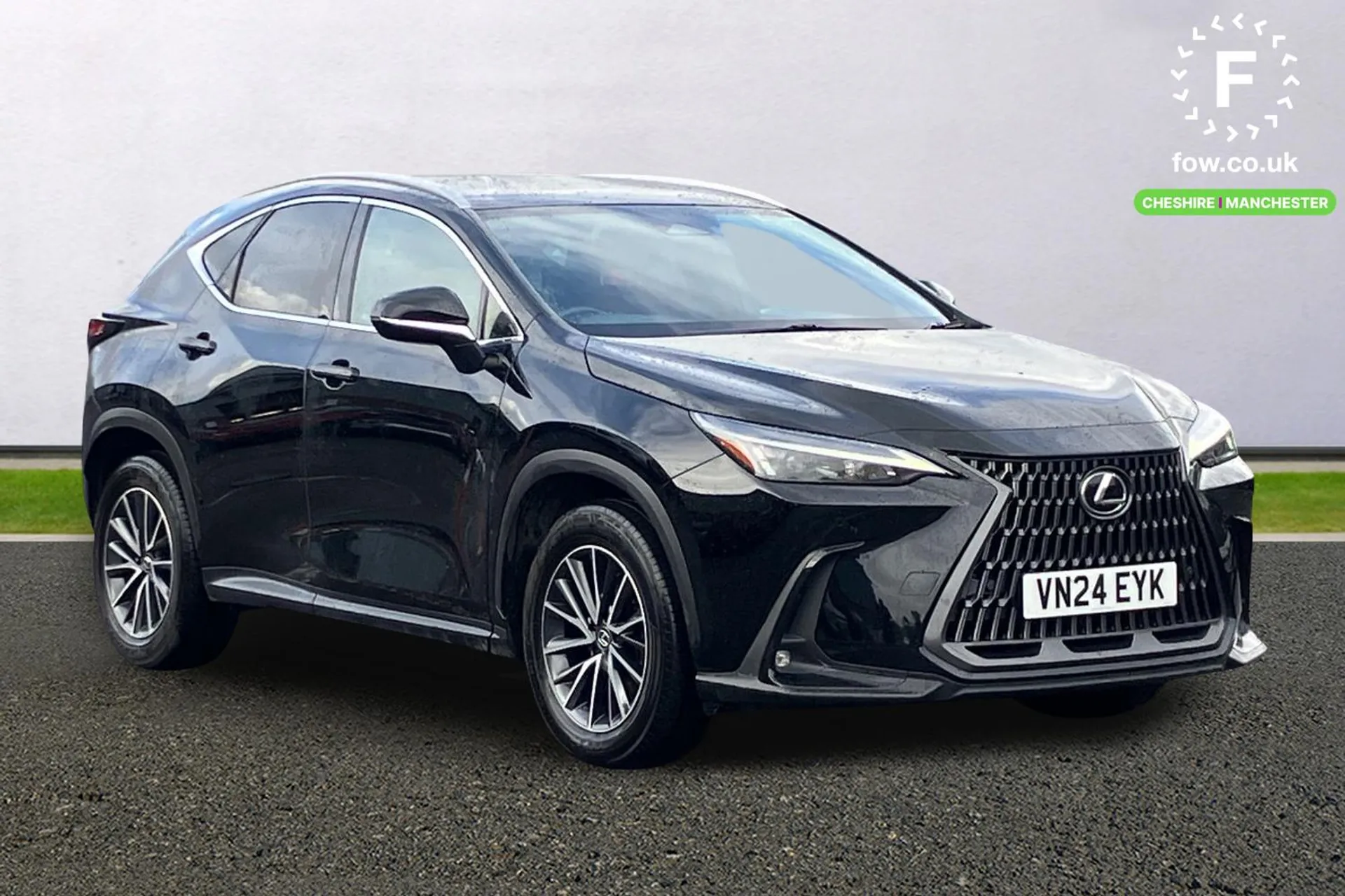 NX Hybrid
