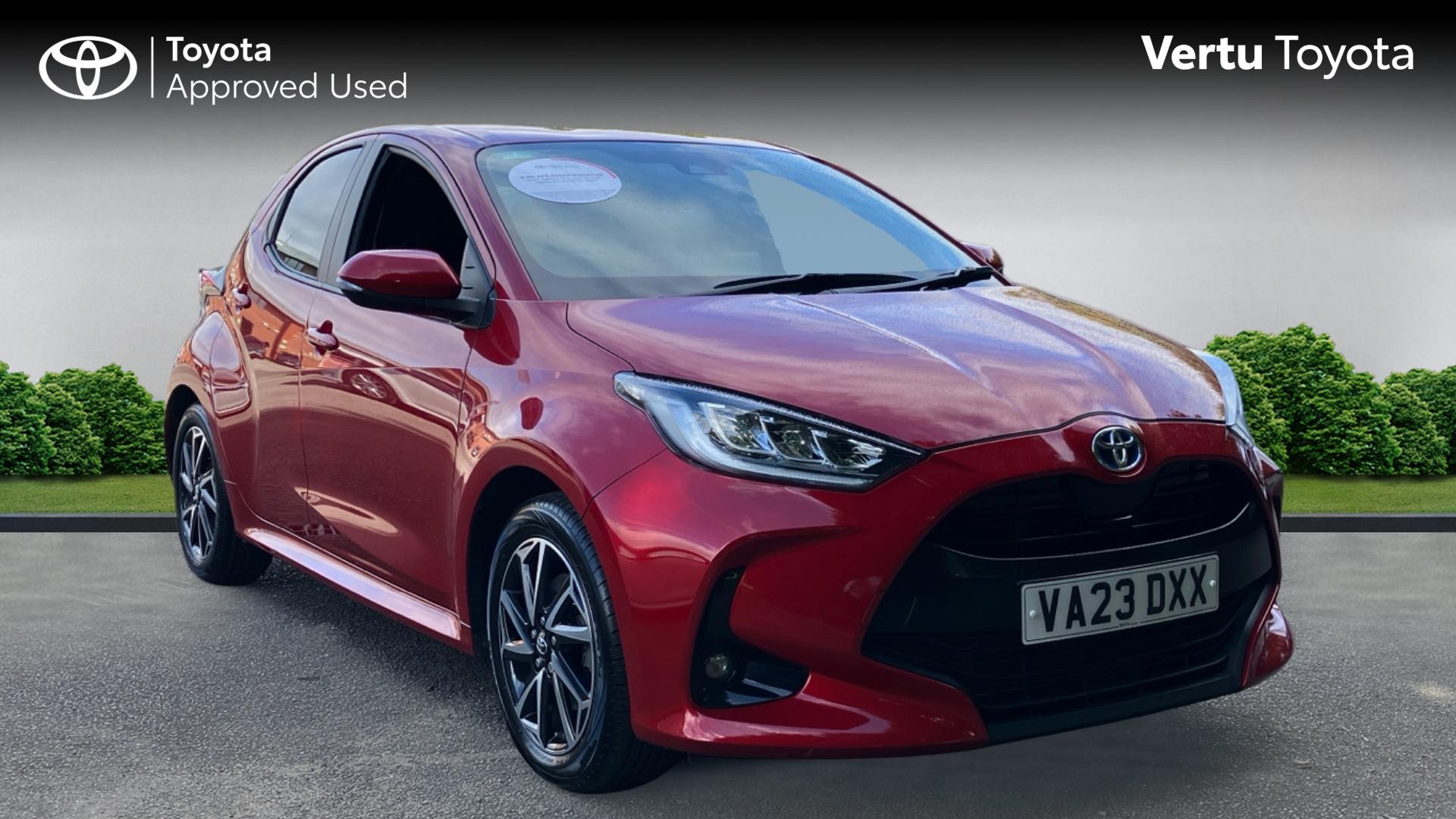 Yaris