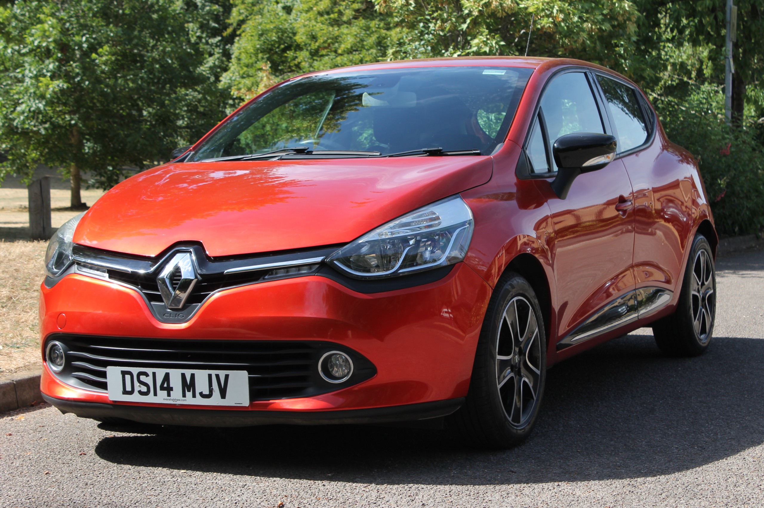 Clio