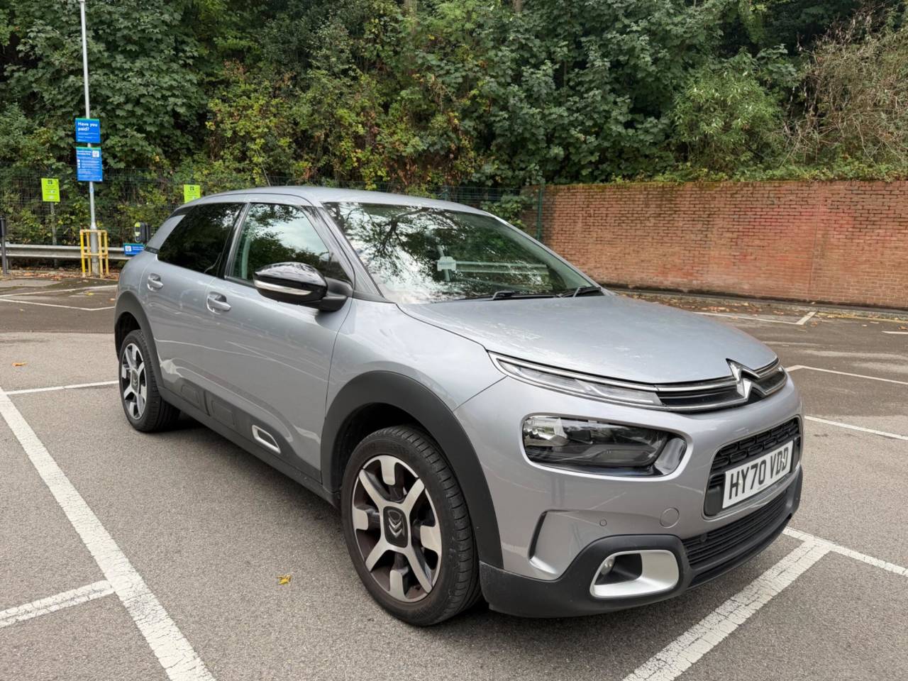 C4 Cactus