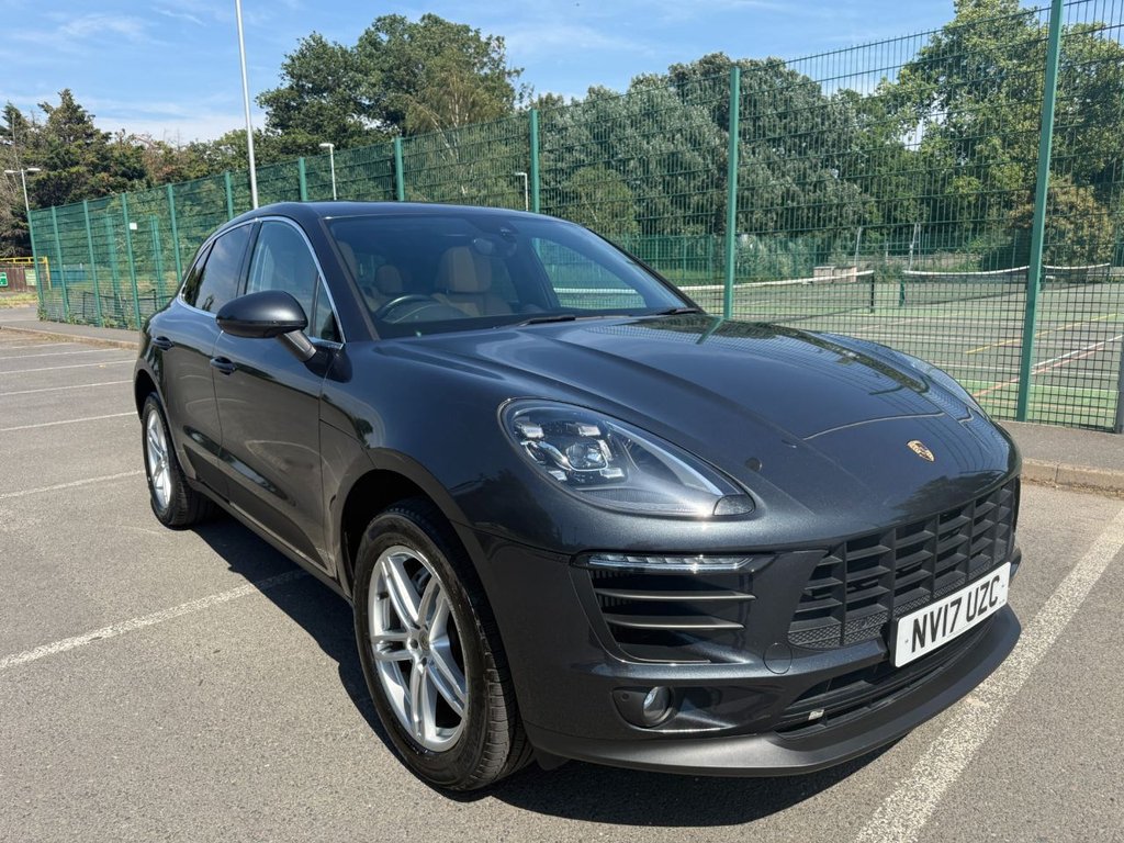 Macan