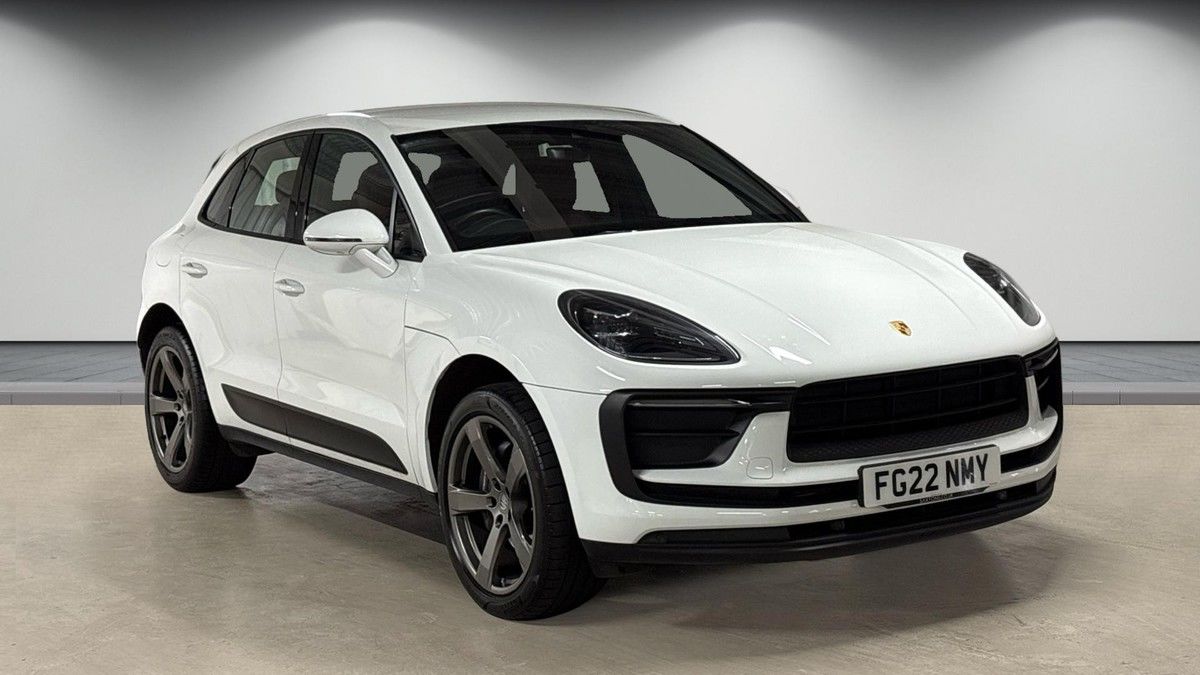 Macan