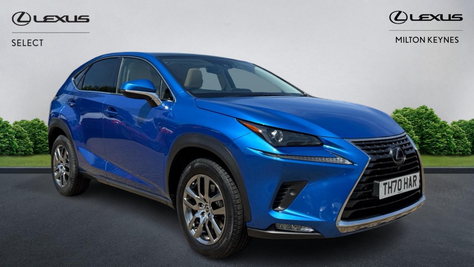 NX Hybrid