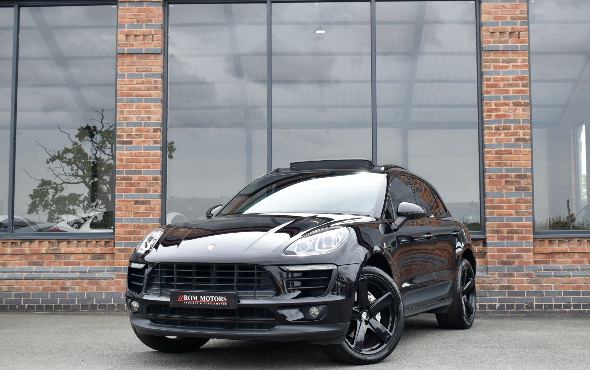 Macan