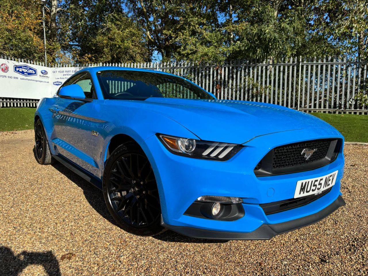 Mustang