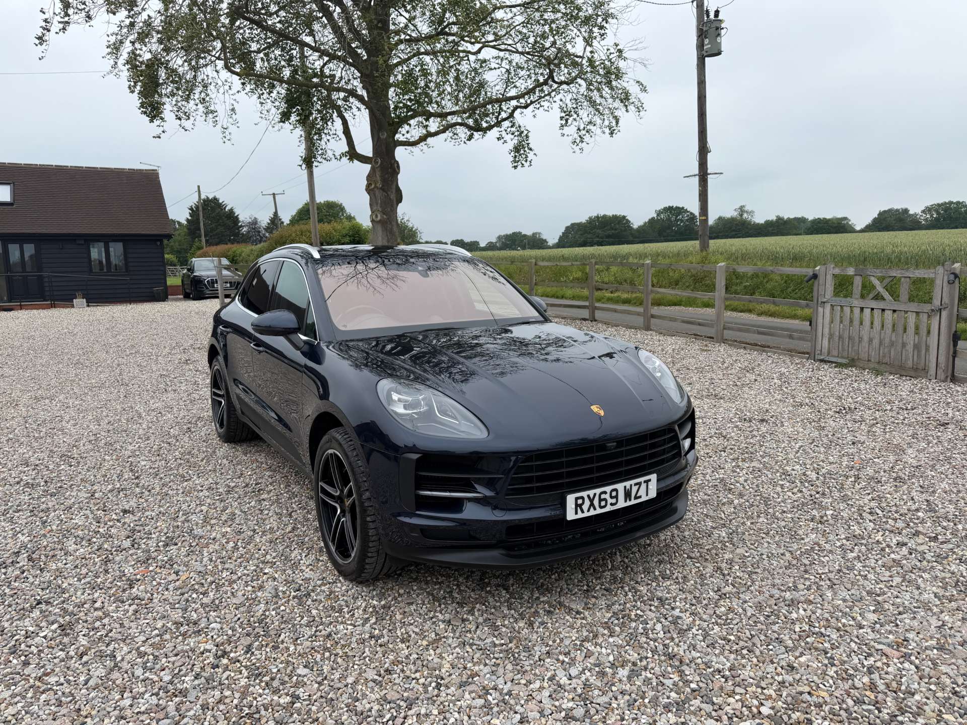 Macan