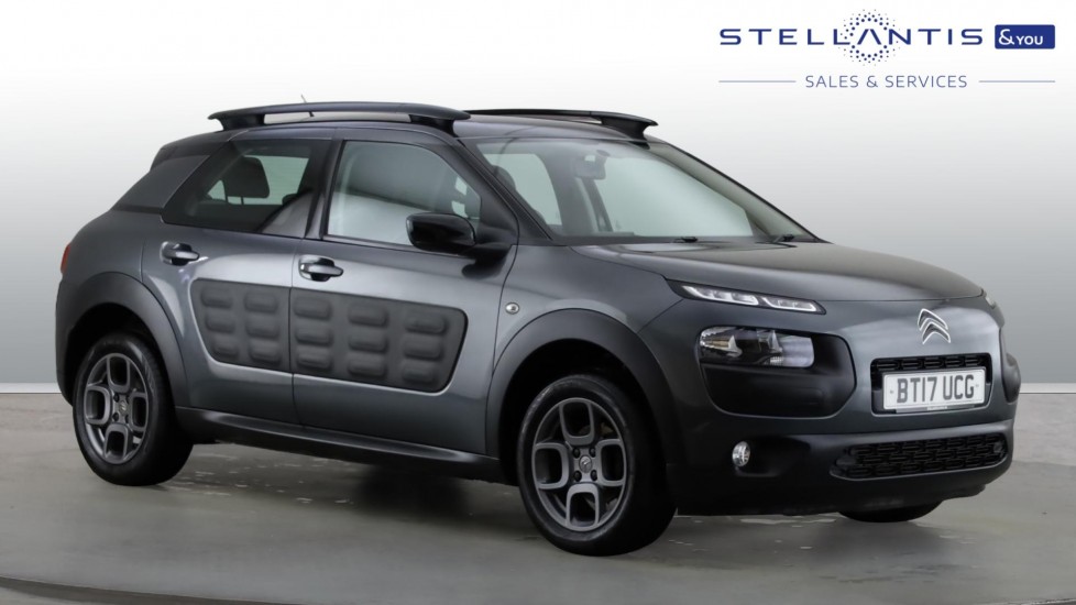 C4 Cactus