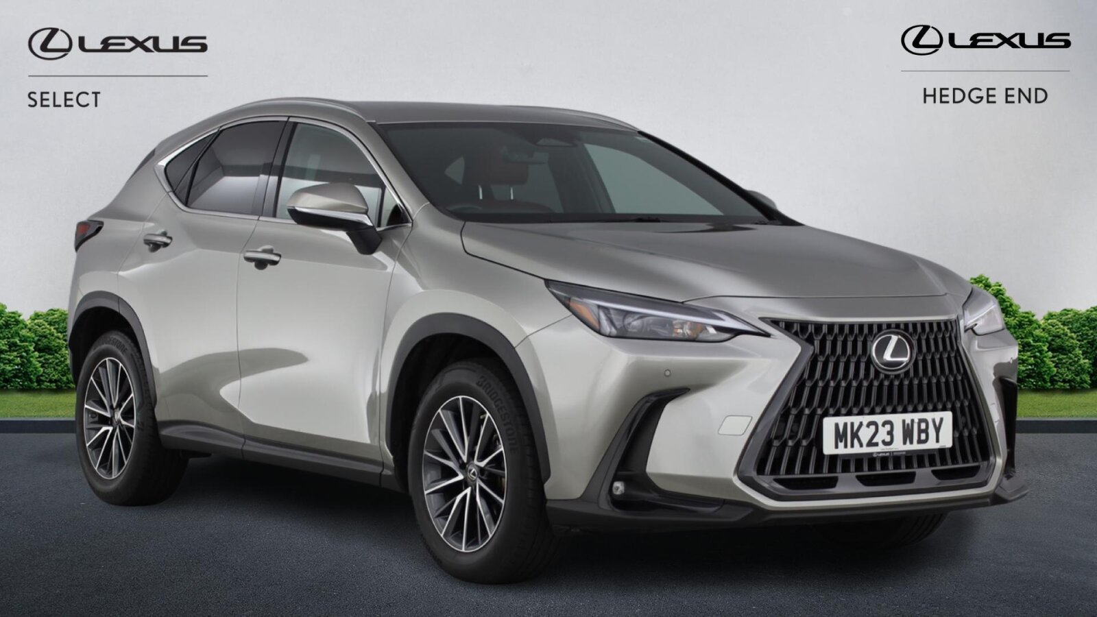 NX Hybrid